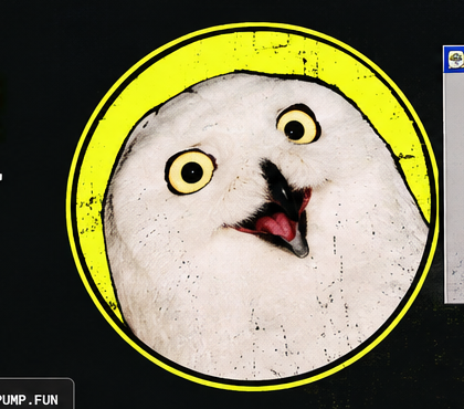OWL owl logo